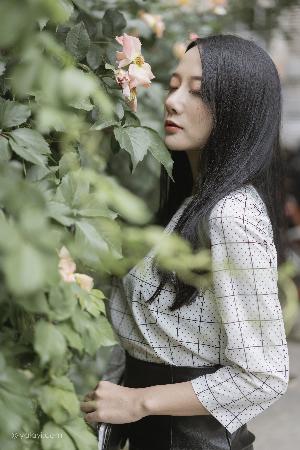 成全视频在线观看免费高清版	187