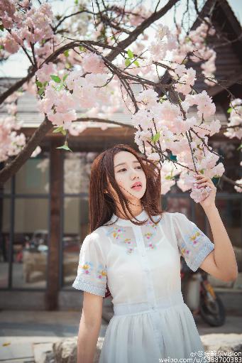 最好看的日本电影免费节目